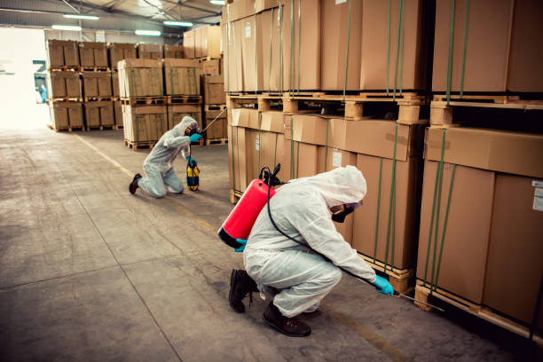 Best Termite Control Services  in Cedar Bluff, AL
