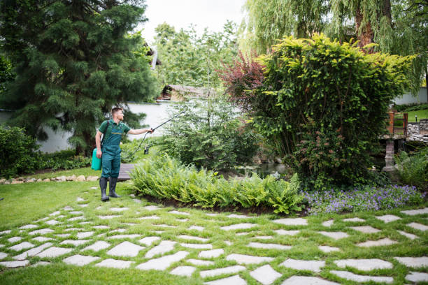 Best Affordable Pest Control Services  in Cedar Bluff, AL