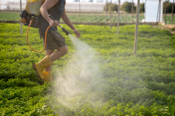 Best Exterminator Services  in Cedar Bluff, AL