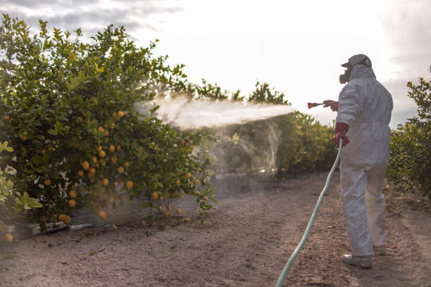 Best Pest Control Near Me  in Cedar Bluff, AL