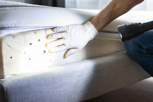 Best Pest Removal Services  in Cedar Bluff, AL