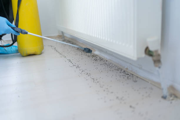 Professional Pest Control in Cedar Bluff, AL