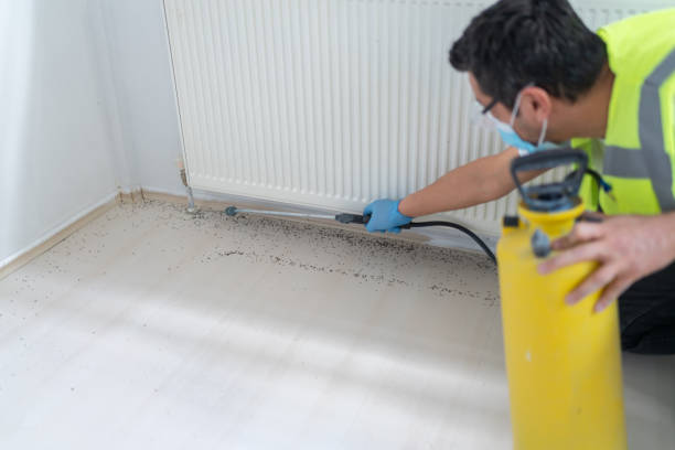 Best Mosquito Control Services  in Cedar Bluff, AL