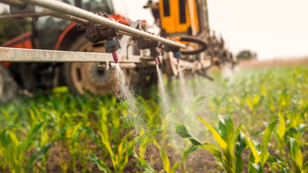 Pest Control Cost in Cedar Bluff, AL